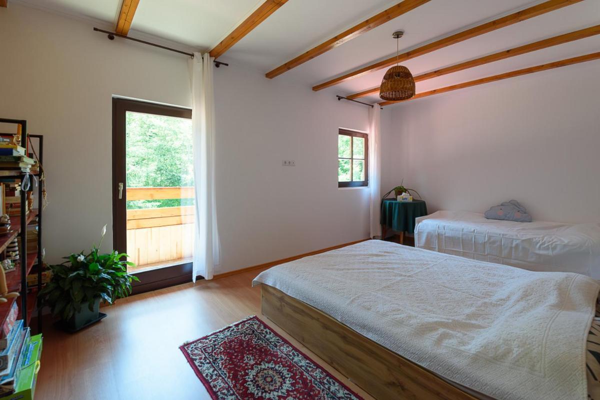 Susurul Apei Chalet Porumbacu de Sus Exterior foto
