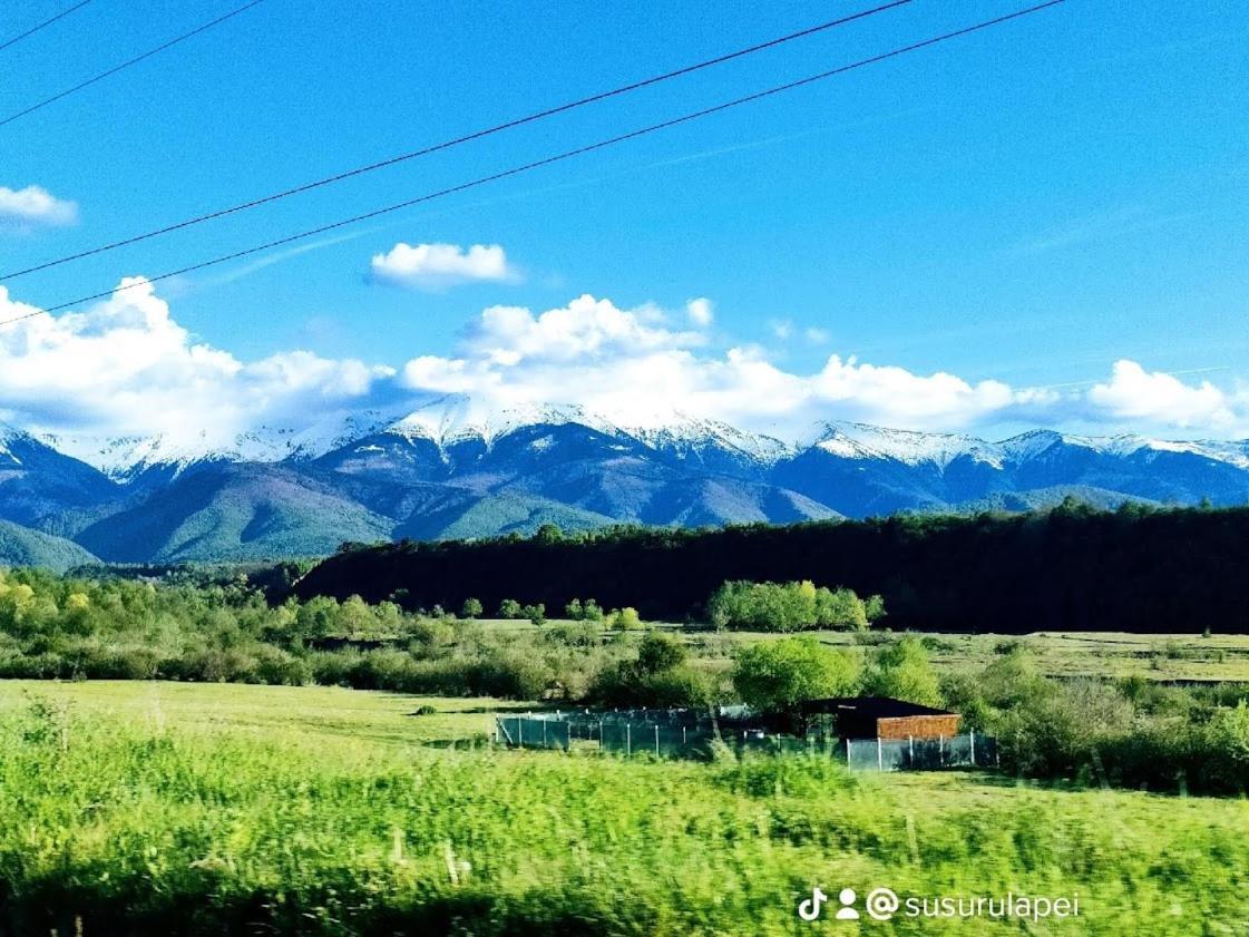 Susurul Apei Chalet Porumbacu de Sus Exterior foto