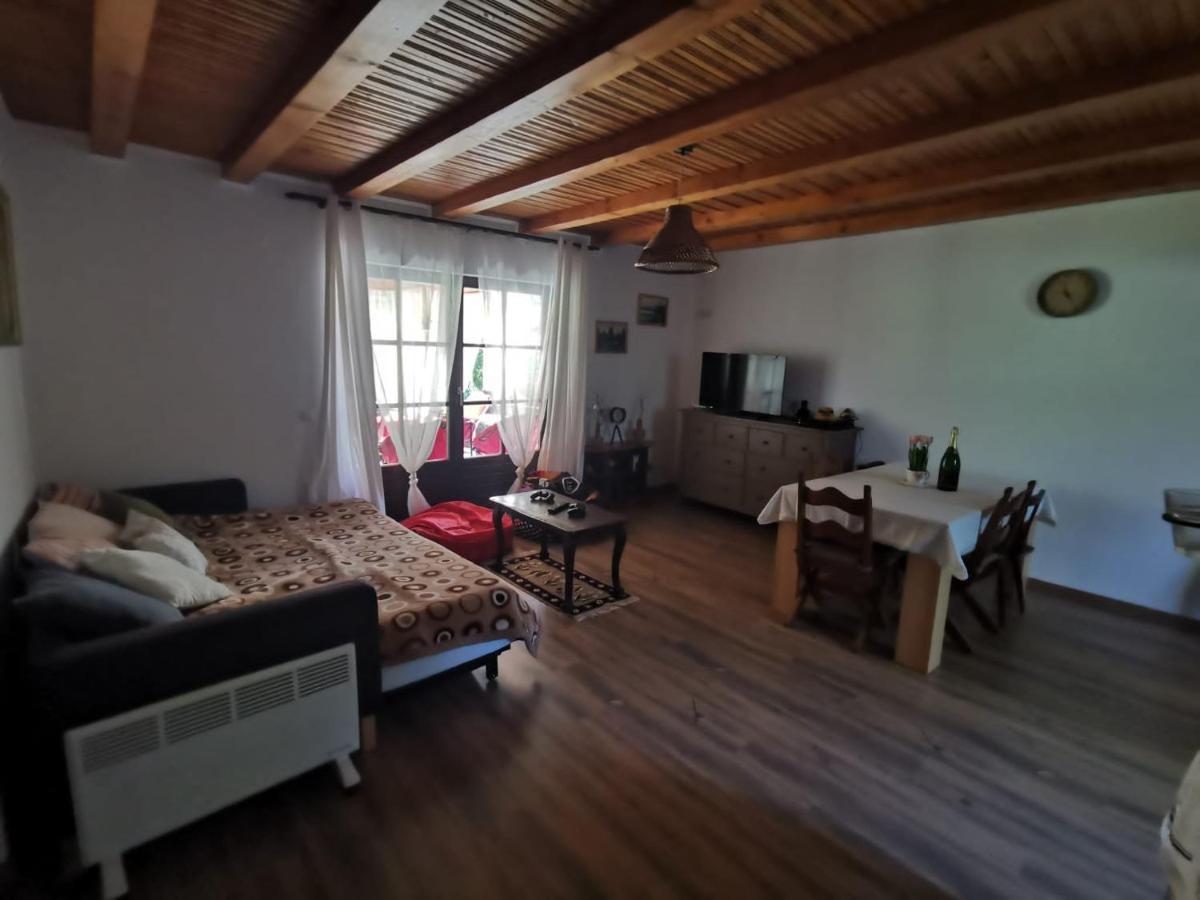 Susurul Apei Chalet Porumbacu de Sus Exterior foto