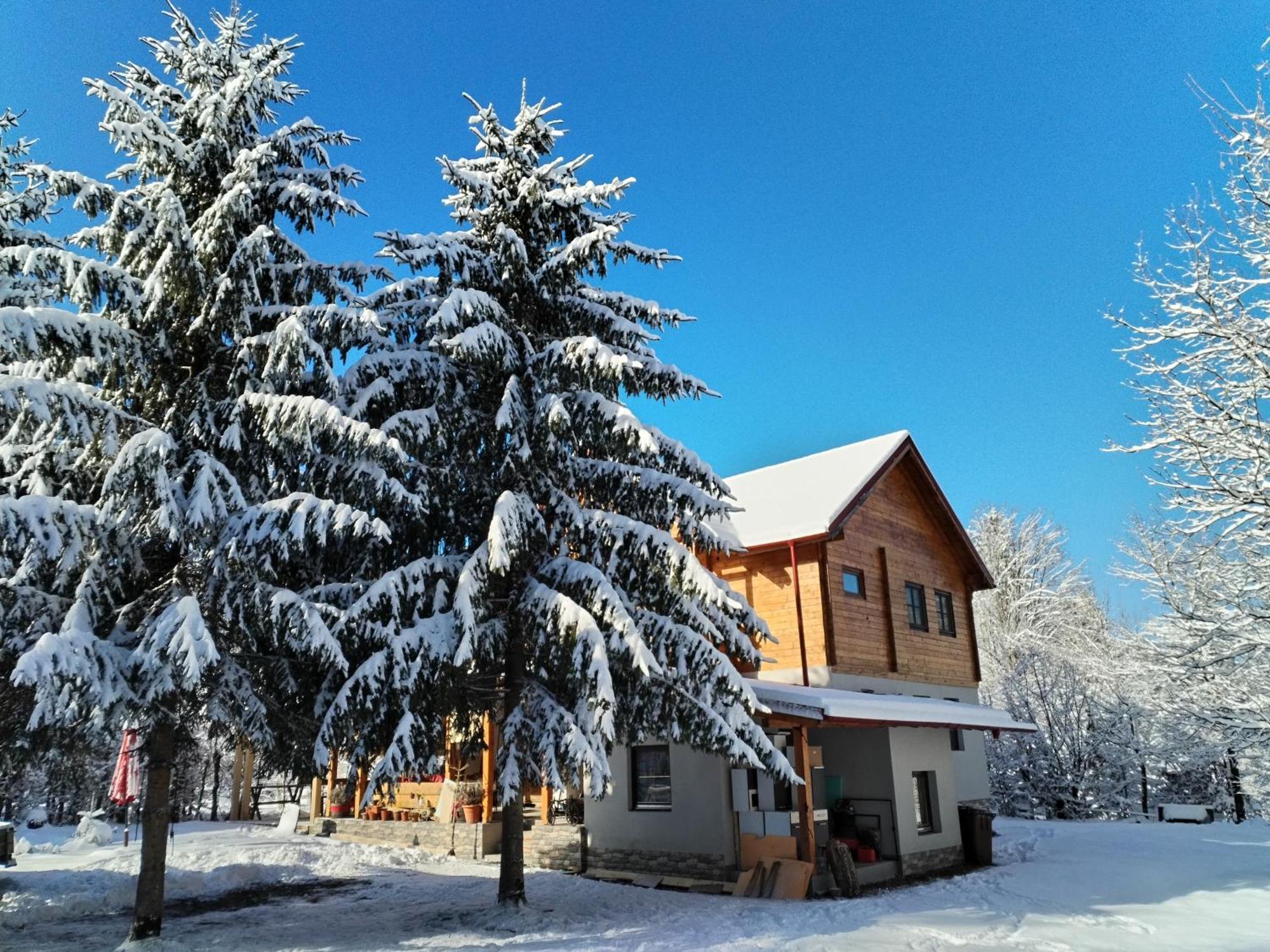 Susurul Apei Chalet Porumbacu de Sus Habitación foto